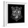 Panther Head Black Mesh-Lisa Kroll-Framed Art Print