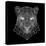 Panther Head Black Mesh-Lisa Kroll-Stretched Canvas