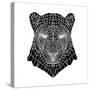 Panther Head Mesh-Lisa Kroll-Stretched Canvas