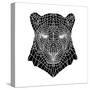 Panther Head Mesh-Lisa Kroll-Stretched Canvas