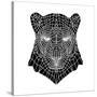 Panther Head Mesh-Lisa Kroll-Stretched Canvas