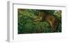 Panther Pause-Steve Hunziker-Framed Art Print