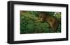 Panther Pause-Steve Hunziker-Framed Art Print