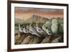 Panther Peak Covey-Trevor V. Swanson-Framed Giclee Print