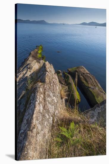 Panther Point, Wallace Island, Gulf Islands NP Preserve, BC, Canada.-Roddy Scheer-Stretched Canvas