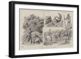 Panther Shooting in India-null-Framed Giclee Print