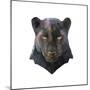 Panther-Lora Kroll-Mounted Premium Giclee Print