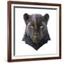 Panther-Lora Kroll-Framed Art Print