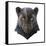 Panther-Lora Kroll-Framed Stretched Canvas