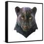 Panther-Lora Kroll-Framed Stretched Canvas