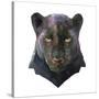 Panther-Lora Kroll-Stretched Canvas