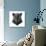 Panther-Lora Kroll-Art Print displayed on a wall