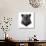 Panther-Lora Kroll-Art Print displayed on a wall