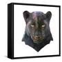 Panther-Lora Kroll-Framed Stretched Canvas