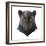 Panther-Lora Kroll-Framed Art Print