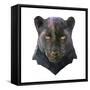 Panther-Lora Kroll-Framed Stretched Canvas