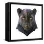 Panther-Lora Kroll-Framed Stretched Canvas