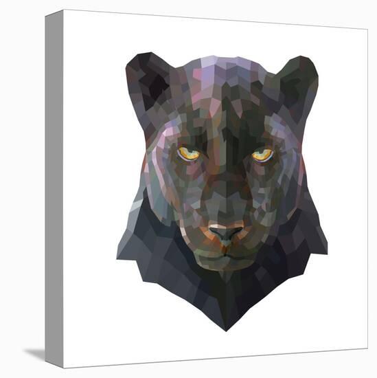 Panther-Lora Kroll-Stretched Canvas