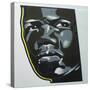 Panther-Abstract Graffiti-Stretched Canvas