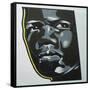 Panther-Abstract Graffiti-Framed Stretched Canvas