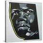 Panther-Abstract Graffiti-Stretched Canvas