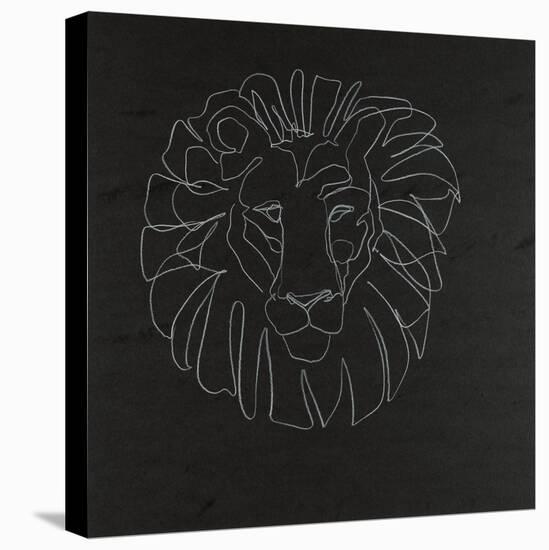 Panthera Leo-Susan Gillette-Stretched Canvas