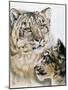 Panthera Uncia-Barbara Keith-Mounted Giclee Print