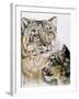 Panthera Uncia-Barbara Keith-Framed Giclee Print