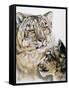 Panthera Uncia-Barbara Keith-Framed Stretched Canvas