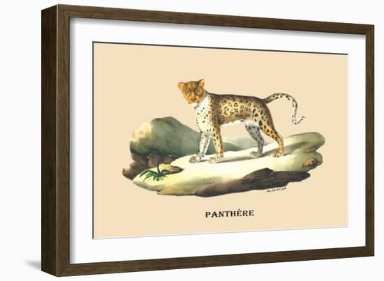 Panthere-E.f. Noel-Framed Art Print