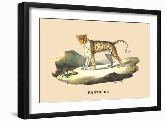 Panthere-E.f. Noel-Framed Art Print