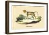 Panthere-E.f. Noel-Framed Premium Giclee Print