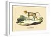 Panthere-E.f. Noel-Framed Premium Giclee Print