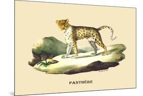 Panthere-E.f. Noel-Mounted Art Print