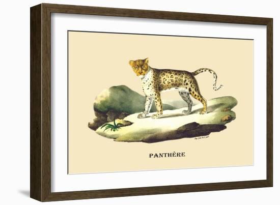 Panthere-E.f. Noel-Framed Art Print