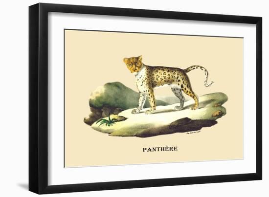 Panthere-E.f. Noel-Framed Art Print