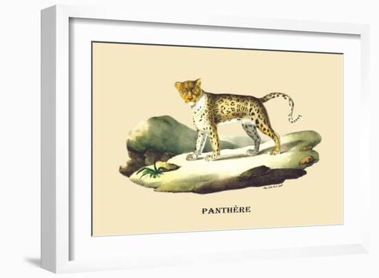 Panthere-E.f. Noel-Framed Art Print