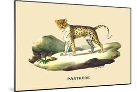 Panthere-E.f. Noel-Mounted Art Print