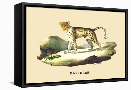 Panthere-E.f. Noel-Framed Stretched Canvas