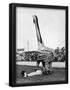 Essential Black