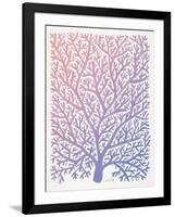 Pantone Fan Coral-Cat Coquillette-Framed Giclee Print