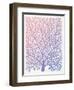 Pantone Fan Coral-Cat Coquillette-Framed Giclee Print