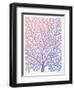 Pantone Fan Coral-Cat Coquillette-Framed Giclee Print