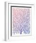 Pantone Fan Coral-Cat Coquillette-Framed Giclee Print