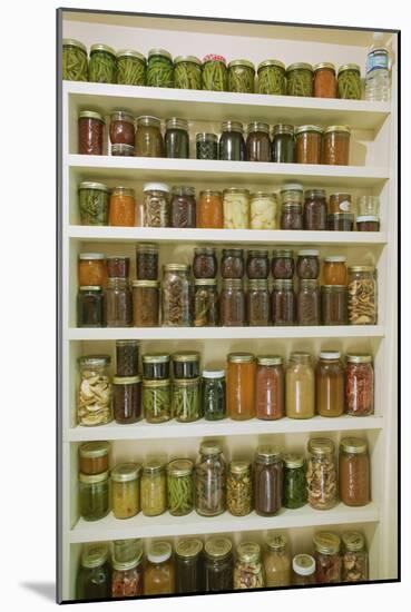 Pantry of preserved fruits and vegetables in canning jars. (PR)-Janet Horton-Mounted Photographic Print