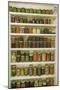 Pantry of preserved fruits and vegetables in canning jars. (PR)-Janet Horton-Mounted Photographic Print