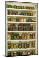 Pantry of preserved fruits and vegetables in canning jars. (PR)-Janet Horton-Mounted Photographic Print