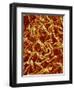 Panty Hose-Micro Discovery-Framed Photographic Print