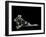 Paolina Borghese as Venus Victrix-Antonio Canova-Framed Premium Photographic Print