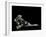 Paolina Borghese as Venus Victrix-Antonio Canova-Framed Premium Photographic Print